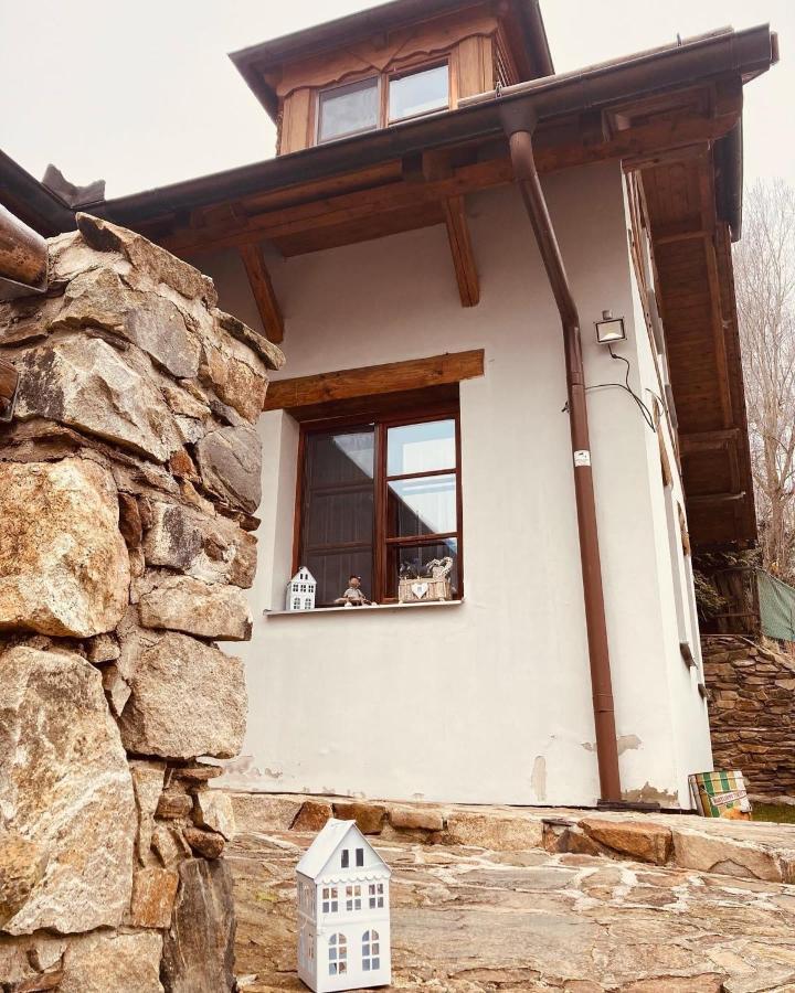 Apartmany Srub Jenisov Horní Planá 외부 사진