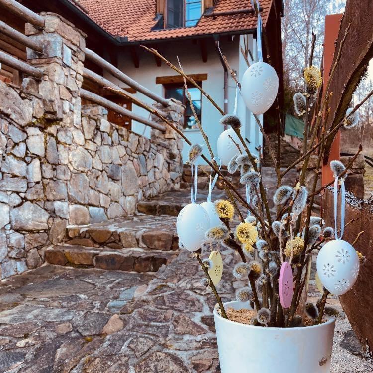 Apartmany Srub Jenisov Horní Planá 외부 사진