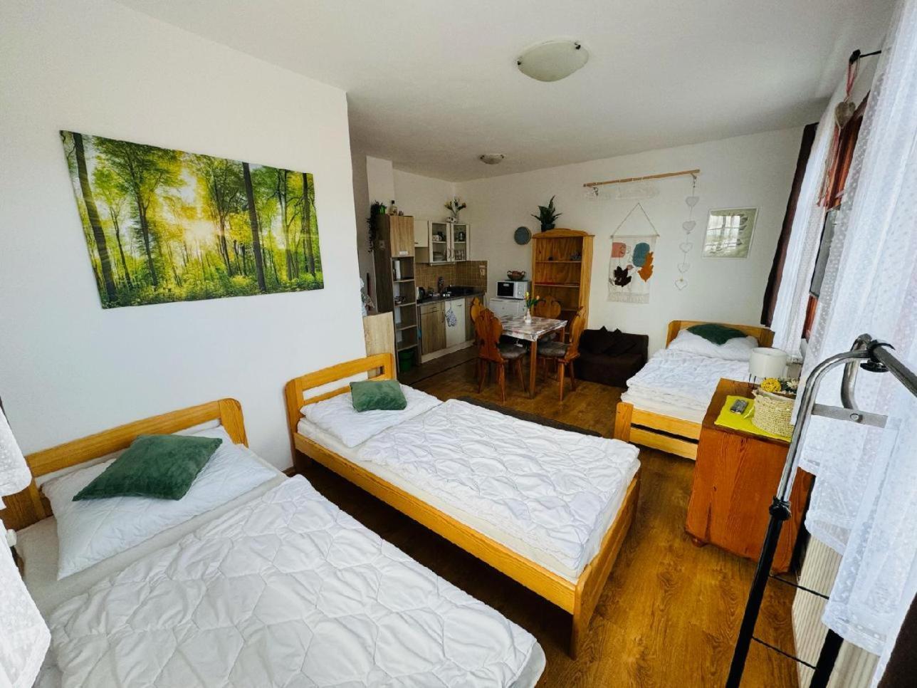 Apartmany Srub Jenisov Horní Planá 외부 사진