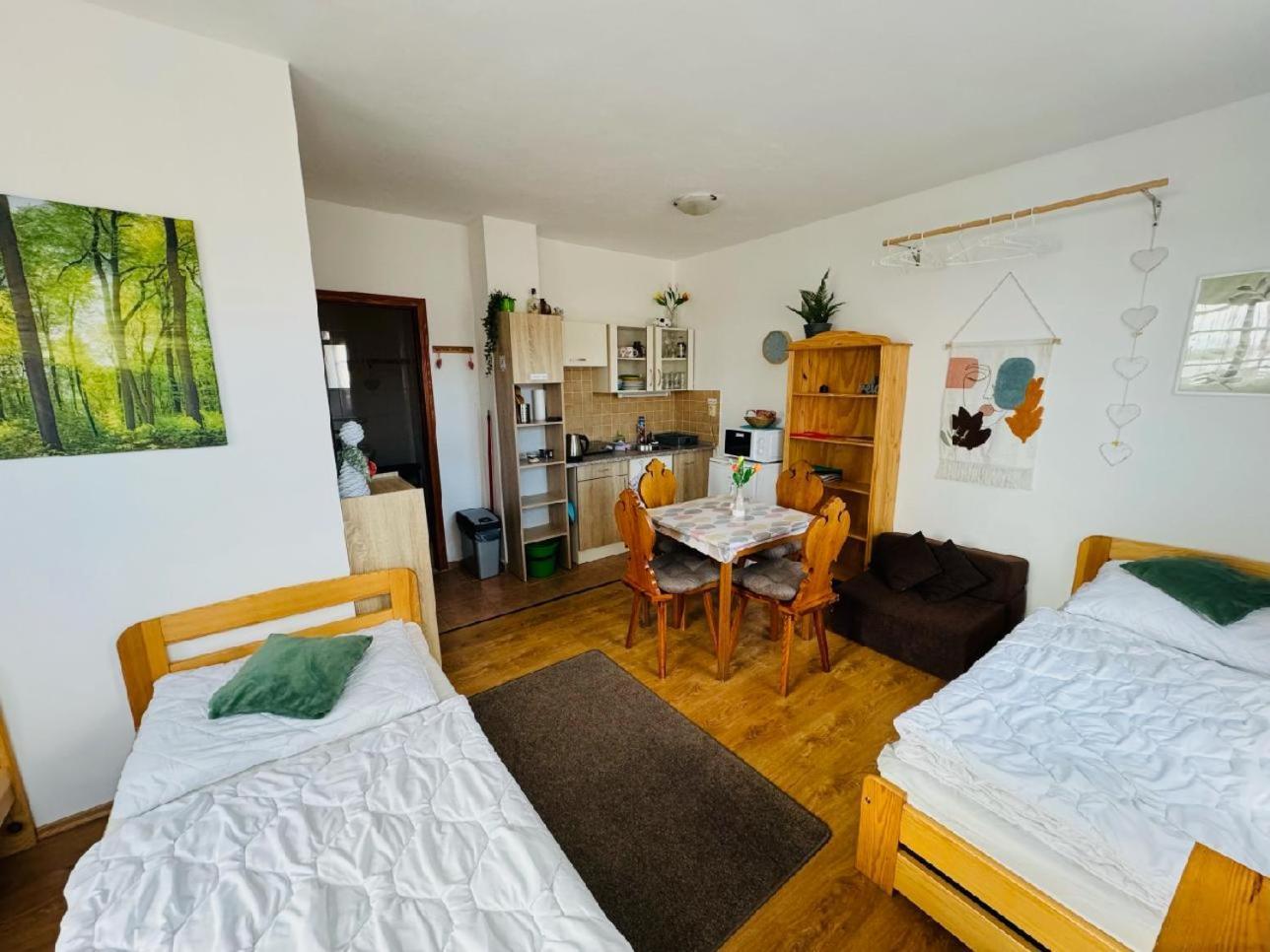 Apartmany Srub Jenisov Horní Planá 외부 사진